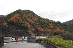 日本里山の森林を育む会ｰ大阪ｰ1