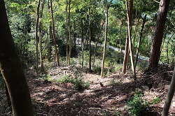 日本里山の森林を育む会ｰ大阪ｰ10