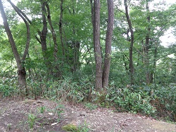 日本里山の森林を育む会-新13-10
