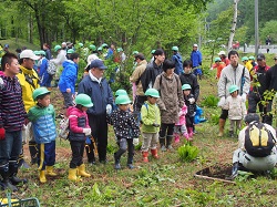 日本里山の森林を育む会ｰ植春2