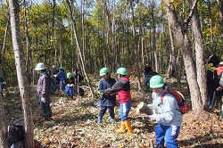 日本里山の森林を育む会ｰ葛巻ｰ4