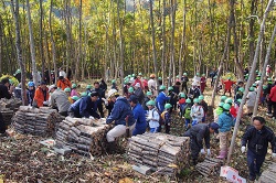 日本里山の森林を育む会ｰ葛巻ｰ5