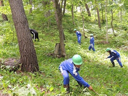 日本里山の森林を育む会-i-5