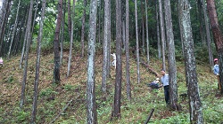 日本里山の森林を育む会名古屋-3
