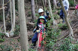 日本里山の森林を育む会-阪24-1