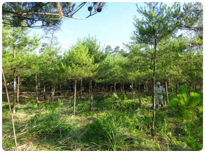 日本里山の森林を育む会ｰ16