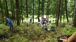 日本里山の森林を育む会名古屋-2